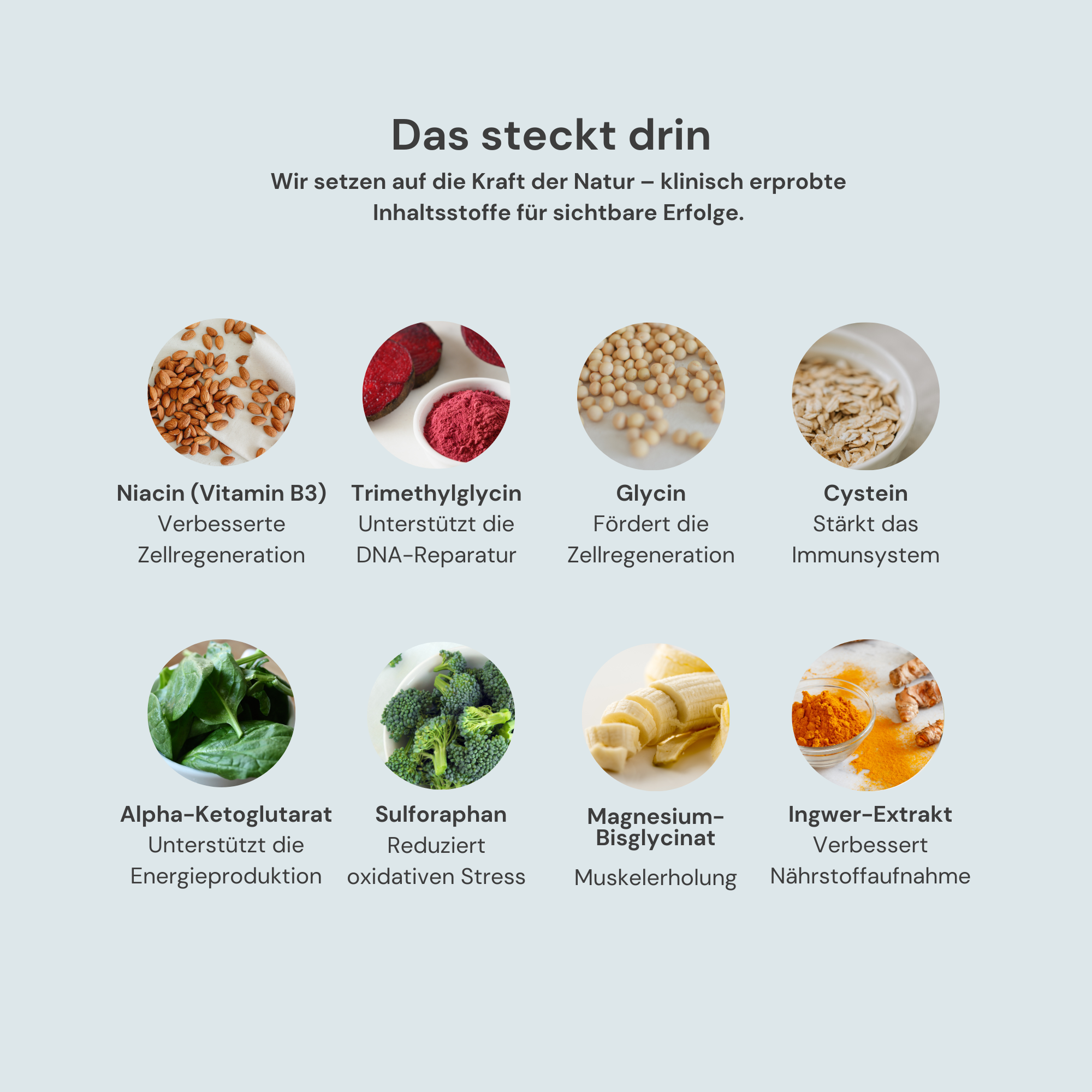 Longevity X Core | Daily Vitality Supplement